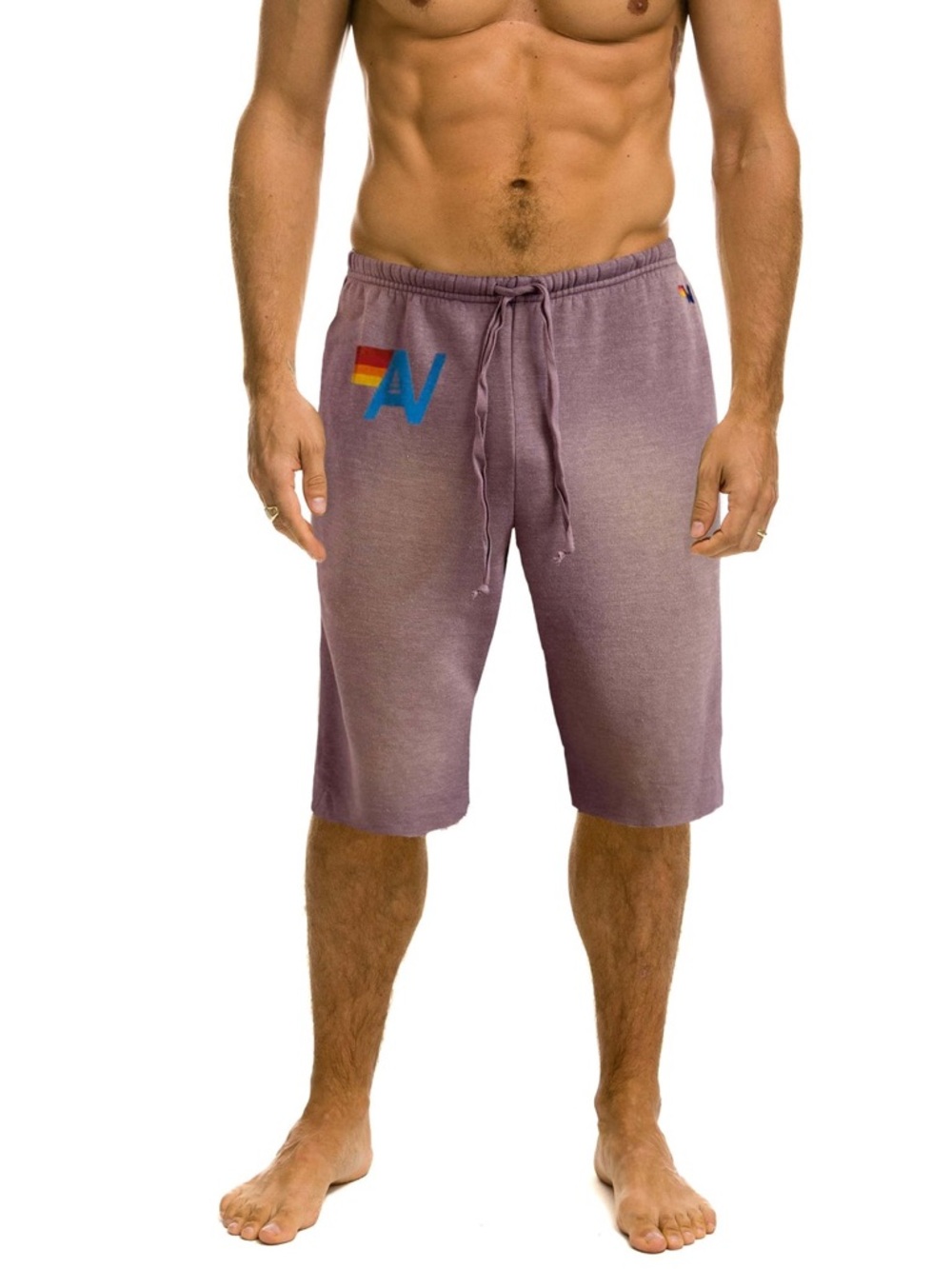 NWT Aviator Nation Vintage Logo Mens Shorts Pockets Faded Mocha Large